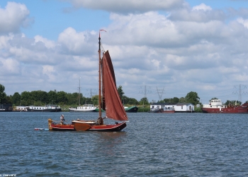Aggie 171
